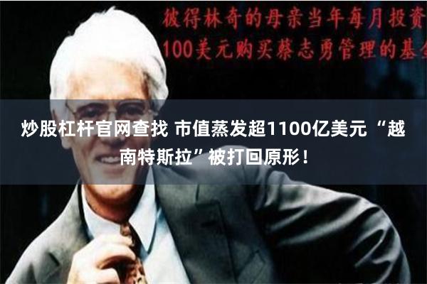 炒股杠杆官网查找 市值蒸发超1100亿美元 “越南特斯拉”被打回原形！