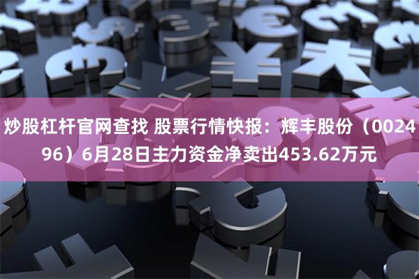 炒股杠杆官网查找 股票行情快报：辉丰股份（002496）6月28日主力资金净卖出453.62万元