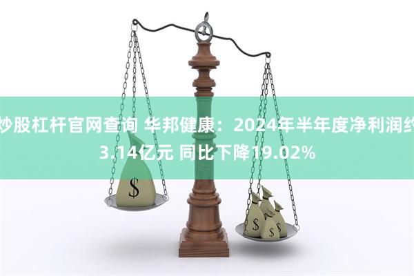 炒股杠杆官网查询 华邦健康：2024年半年度净利润约3.14亿元 同比下降19.02%