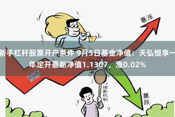 新手杠杆股票开户条件 9月5日基金净值：天弘恒享一年定开最新净值1.1307，涨0.02%