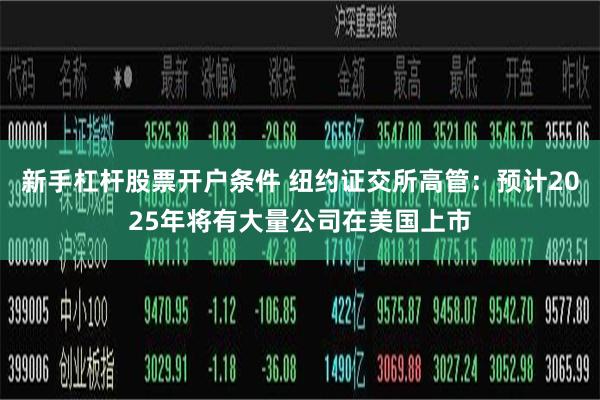 新手杠杆股票开户条件 纽约证交所高管：预计2025年将有大量公司在美国上市