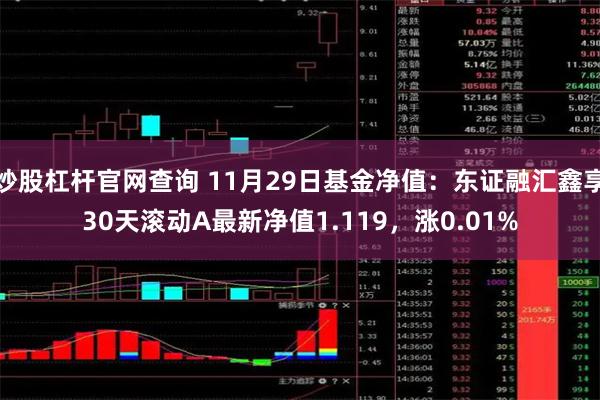 炒股杠杆官网查询 11月29日基金净值：东证融汇鑫享30