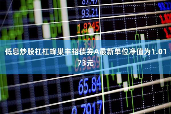 低息炒股杠杠蜂巢丰裕债券A最新单位净值为1.0173元